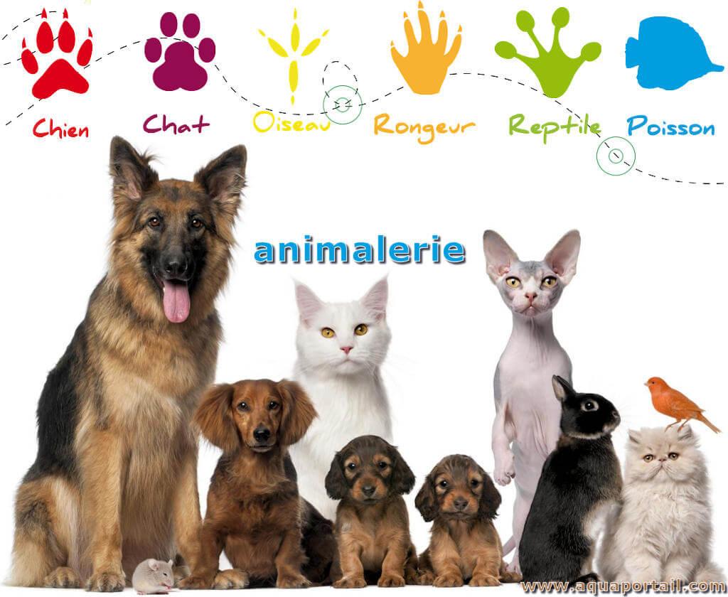 ANIMALERIE