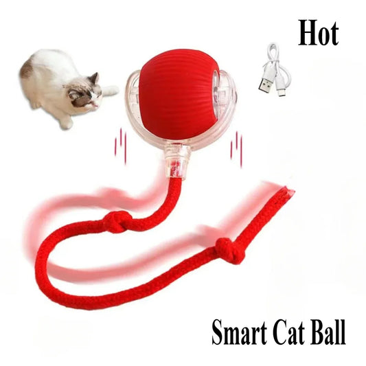 Rechargeable Cat & Dog Rolling Toy-0