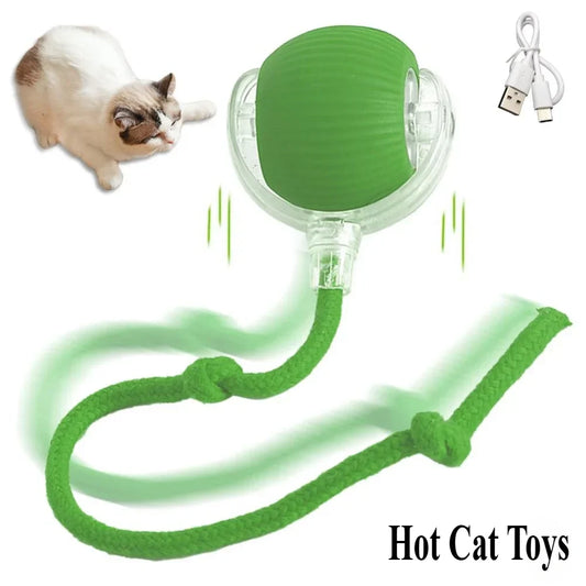 Interactive Rechargeable Cat Toy Ball-0