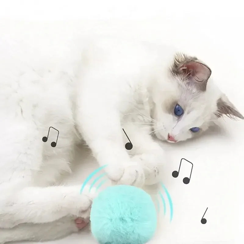 Plush Interactive Cat Toy Ball-1